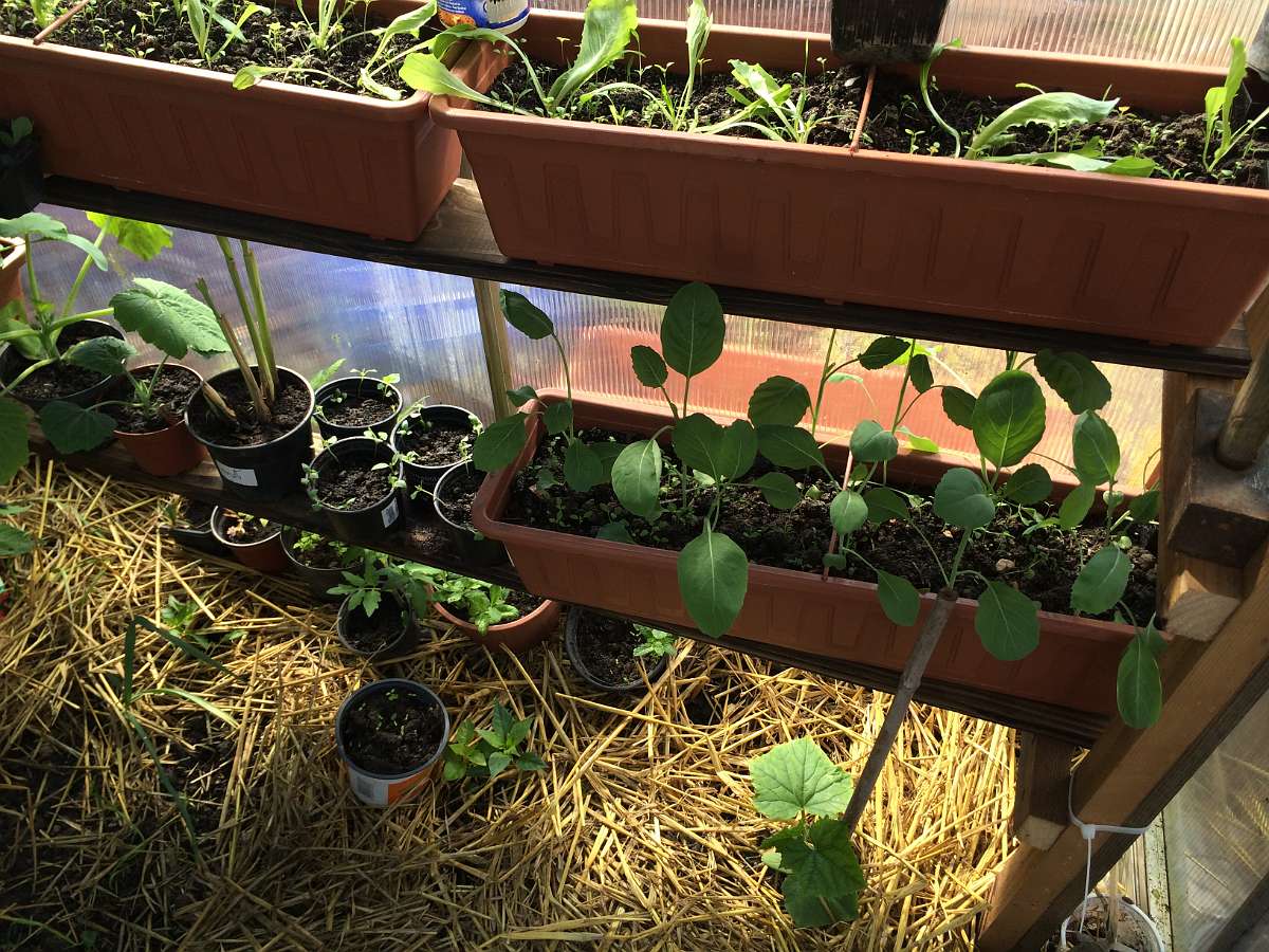 2014-04-23 10-02-12.JPG